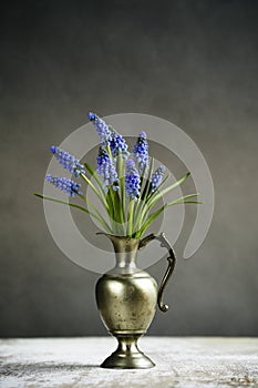 Hyacinth Still Life