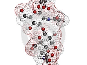 Hyaluronan (hyaluronic acid, hyaluronate) glycosaminoglycan molecule, short fragment. Part of extracellular matrix. Used as tumor