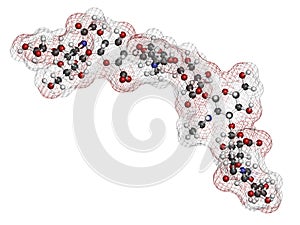 Hyaluronan (hyaluronic acid, hyaluronate) glycosaminoglycan molecule, short fragment. Part of extracellular matrix. Used as tumor