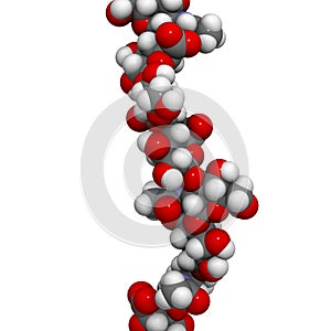 Hyaluronan (hyaluronic acid, hyaluronate) glycosaminoglycan molecule, short fragment. Part of extracellular matrix. Used as tumor