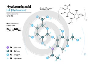 Hyaluronic acid. HA Hyaluronan. Structural chemical formula and molecule 3d model. Atoms with color coding. Vector