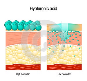 Hyaluronic acid. Hyaluronic acid in skin-care products. photo