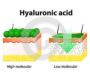 Hyaluronic acid photo