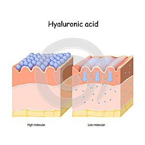 Hyaluronic acid in skin-care products. Low molecule and High molecular photo