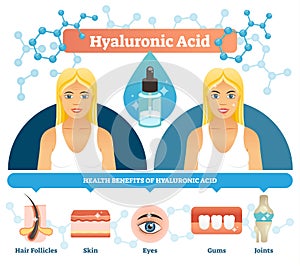 Hyaluronic acid vector illustration. Anti aging cell health benefits.