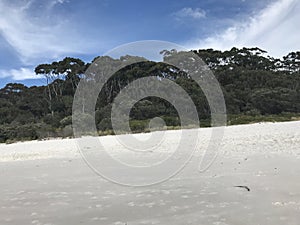 Hyams beach