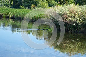 Hyatt Hidden Lakes Reserve, Boise, Idaho