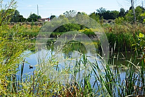 Hyatt Hidden Lakes Reserve, Boise, Idaho