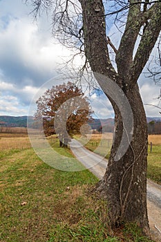 Hyatt Lane in Cades Cove