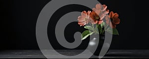 Hyazinthe in a vase on a table with black background, black, arrangement