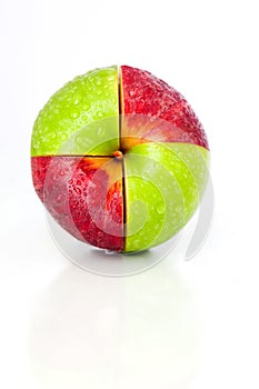 Hybrid apple