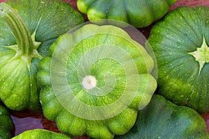 Hybrid Squash - Patty pan