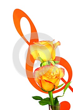 Hybrid yellow and orange shade roses with music note symbol background