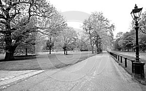 Hyde park, black & white shot photo