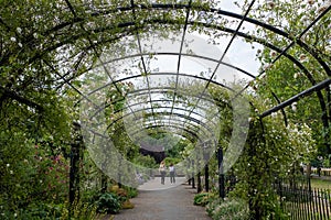 Hyde park garden area, beautiful mini flower tunnel, hyde oark