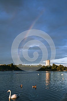 Swans and Rainbow by the Serpentine River in Hyde Park, London photo