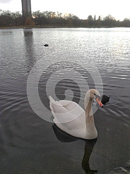 Hyde Park London