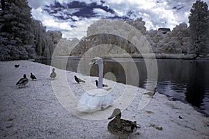 Hyde Park, London, England