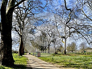 Hyde Park, London, England, in the spring