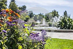 Hyde Park on a sunny day, Lodnon.