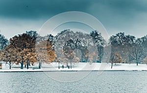 Hyde Park in Winter