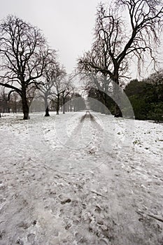 Hyde park in winter photo