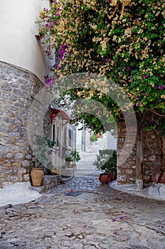 Hydra island