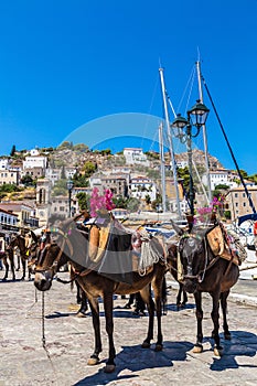 Hydra island  in Greece