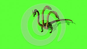 Hydra Mystical Water Snake On Green Screen Background