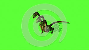 Hydra Mystical Water Snake On Green Screen Background