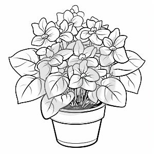 Hydrangea Coloring Page For Children: Haworthia Fasciata Plant In Cartoon Style