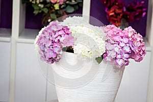 Hydrangea deco