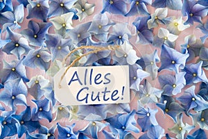 Hydrangea Flat Lay, Alles Gute Means Best Wishes