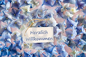 Hydrangea Flat Lay, Willkommen Means Welcome, Background