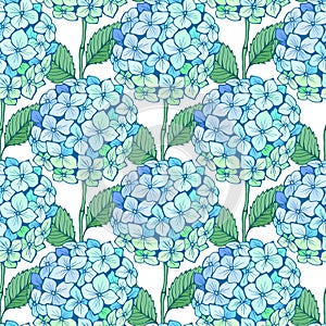 Hydrangea flower seamless pattern. Blue green petals, stem and leaves on white. Vector texture for print, fabric
