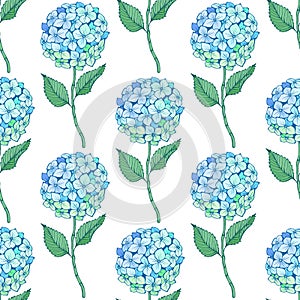 Hydrangea flower seamless pattern. Blue green petals, stem and leaves on white. Vector texture for print, fabric