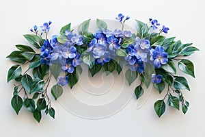 Hydrangea flower set against a transparent backdrop