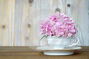 Hydrangea flower in tea cup