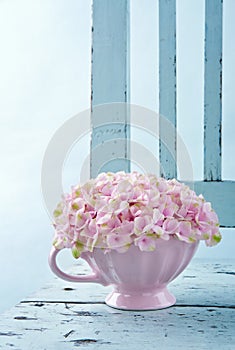 Hydrangea flowers on a vintage chair