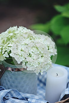 hydrangea flowers in vintage jar with candle and blue tablecloth in summer garden