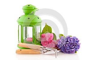 Hydrangea and gardening tools with green lantern