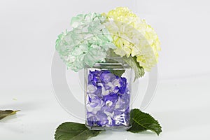 Hydrangea hortensias; Arrangement of beautiful and colorful hydrangeas photo