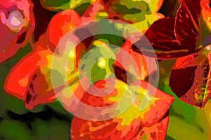 Hydrangea Magical - abstract