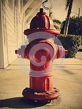 Fire Hydrant in USA photo