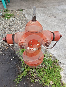 The hydrant, wherever available, should be orange. photo