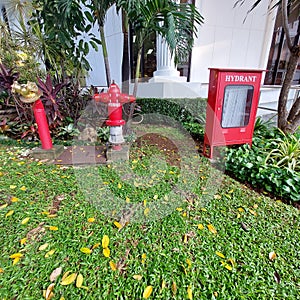 hydrants to anticipate the occurrence of fires that need to be treated in order to maintain their function