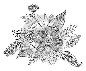 Hydrengea Flower doodle drawing freehand , Coloring page with doodle