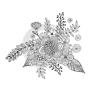 Hydrengea Flower doodle drawing freehand , Coloring page with doodle