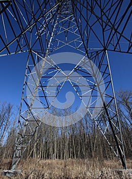 Hydro Tower and Trees in Spring