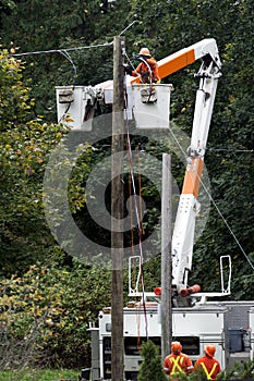 Hydro Workers replace a utility pole